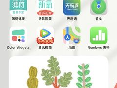 -Apple零售店(成都太古里店)