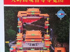 -东莞市大岭山森林公园