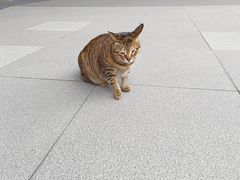-深圳大学(丽湖校区)