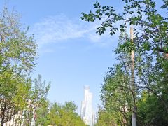 -李柱·柘城垛子羊肉旗舰店(通泰路店)