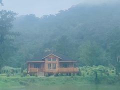 -海南热带雨林国家公园吊罗山景区
