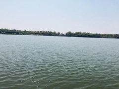 -上海都市菜园