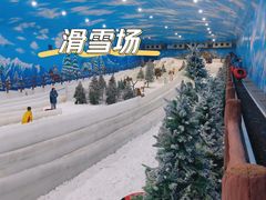 -世界之窗阿尔卑斯冰雪世界