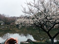 -杭州植物园