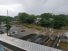 -东莞植物园