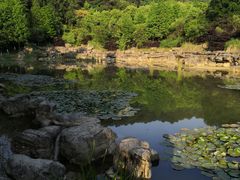 -铁山坪森林公园