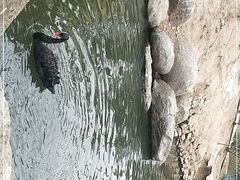 -临沂动植物园