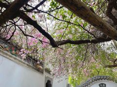 -深圳国际园林花卉博览园