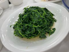 -瑞福园联谊餐室(茂名南路店)