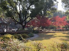 -申粤轩酒楼·三十年粤菜经典(丁香花园店)