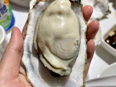 -蚝歌(中山七路店)