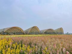 -中国天府农业博览园