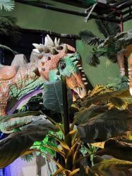 -恐龙探索乐园(磁器口店)