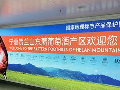 -银川河东国际机场