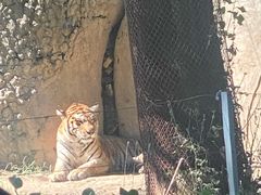 -秦皇岛野生动物园