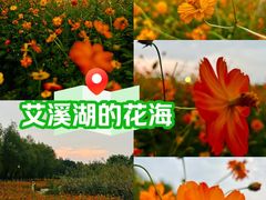 -艾溪湖湿地公园