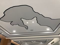 -北京派仕佳德动物医院·超导核磁·CT·神经科·骨科·内外科·急重症管理中心