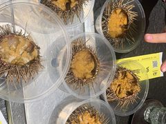 -海胆小馆(东北水饺·春柳店)