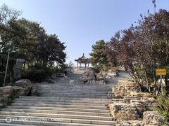 -大兴滨河森林公园