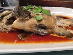 -蒙古大营·蒙古演绎餐厅(赛马场店)