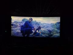 -幸福蓝海国际影城(宜昌水悦城店)