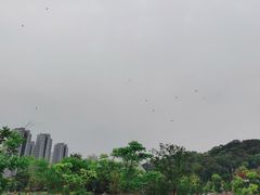 -牛岗山公园