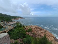 -广东惠东海龟国家级自然保护区