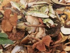 -草墩罗非鱼庄•野生菌•腊排骨(七星街上段店)