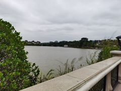 -美的鹭湖森林度假区