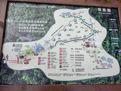 -野象谷景区
