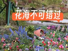 -东莞植物园