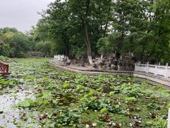 -莲湖公园