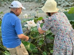 -上海怡沁园度假酒店