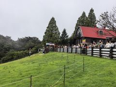 -神户市立六甲山牧场