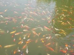 -北戴河圣蓝海洋公园