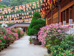 -杭州上天竺法喜讲寺
