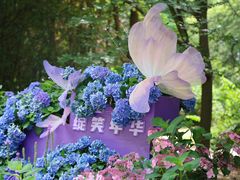 -上海滨江森林公园