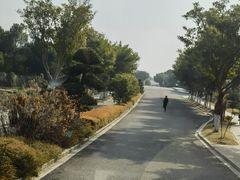 -三垟湿地