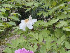 -苏州河梦清园环保主题公园