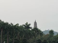 -顺峰山公园