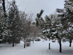 -迎泽公园