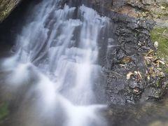 -莫里热带雨林景区
