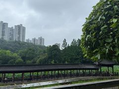 -龙头寺公园