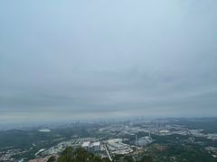 -水濂山森林公园