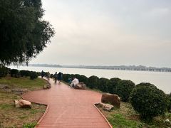 -丁香湖公园