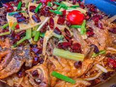 -老板恋上鱼(恒隆广场店)