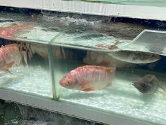 -王四营海鲜市场