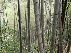 -黄山翡翠谷景区