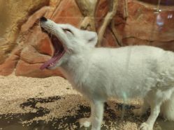 -Zoolung Zoolung动物主题公园(海信广场店)