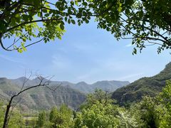 -幽岚山·童话森林